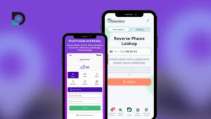 SocialCatfish vs Detectico
